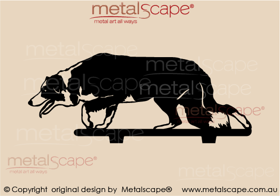 Metalscape - Metal Garden Art - Gardenscape -Collie Stalking Life Size