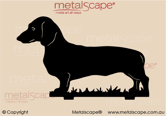 Metalscape - Metal Garden Art - Gardenscape -Dachshund 2  on spike - Life Size