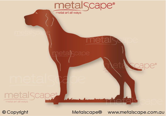 Metalscape - Metal Garden Art - Gardenscape -Great Dane Head Up on spike - Life Size