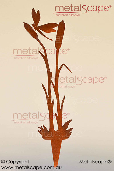 Metalscape - Metal Garden Art - Gardenscape -Dragonfly and 2 Bulrush Reed  - 1.6mm Corten - Rust