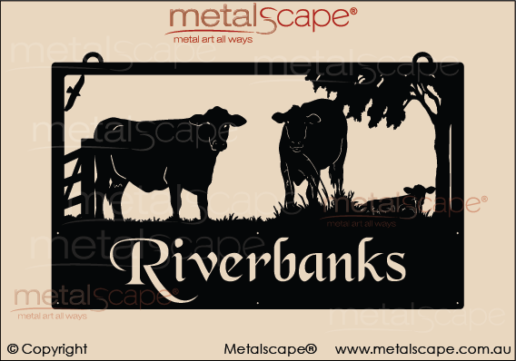 Metalscape - Farm Property Signs-Large Property Sign - Angus Cows & Sitting Calf