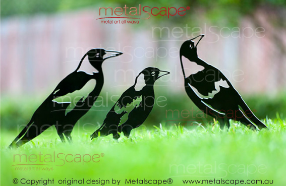 metalscape - magpies - metal art - australia