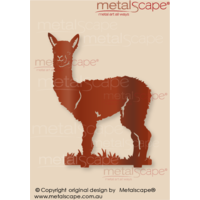 Alpaca Huacaya Cria (Baby)