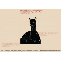 Alpaca Sitting Front On  (Huacaya)