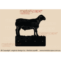 Dorper Sheep - Plaque \ Coat Rack