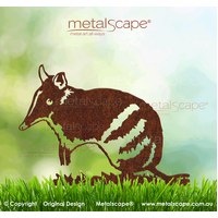 Bandicoot - Eastern Barred on spike