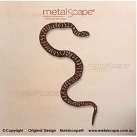 Broad-headed Snake