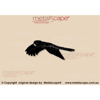 Black Cockatoo Flying Wings Down