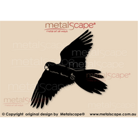 Black Cockatoo Flying Profile Wings Out Turning