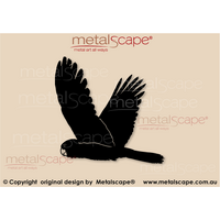 Black Cockatoo Flying Wings Up