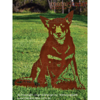 Kelpie Cross Medium Size