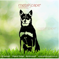 Blue Heeler Cattle dog on Spikes - Medium
