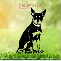 Working Kelpie Sitting - Medium