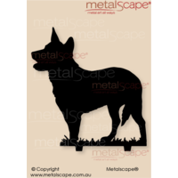 Australian Cattle Dog Silhouette on spikes