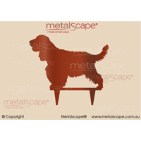 English Cocker Spaniel on spikes