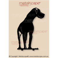 Great Dane Front On - Life Size