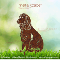 English Cocker Spaniel Sitting on spikes