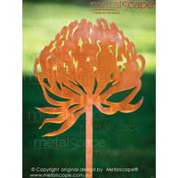 Waratah on spike