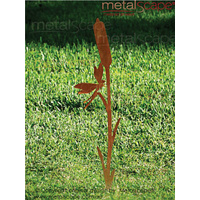 Bulrush and Dragonfly on spike  - Medium