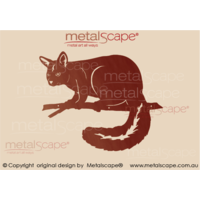 Brush tail Possum