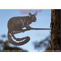 Brush Tailed Possum on tree mount spike