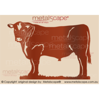 Angus Bull - Large Size