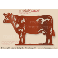 Angus Cow - Large Size