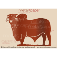 Brahman Bull - Large Size