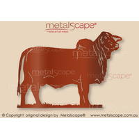Brahman Cow - Large Size