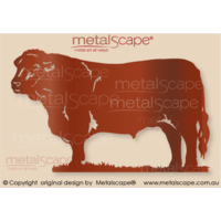 Hereford Bull 2 - Large Size