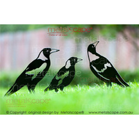 Magpie Family - Black Painted Finish