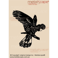 Black Cockatoo Landing on Branch Wall Art