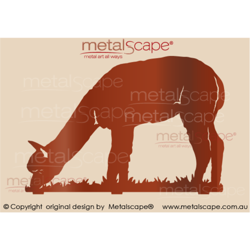 Countryscape - Metalscape - Metal Art - Farm-Alpaca Huacaya Feeding