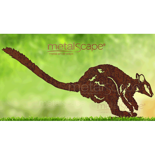 Countryscape - Metalscape - Metal Art - Farm-Brush-tailed Rock Wallaby Male Jumping
