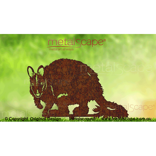 Countryscape - Metalscape - Metal Art - Farm-Brush-tailed Rock Wallaby - Male Sitting