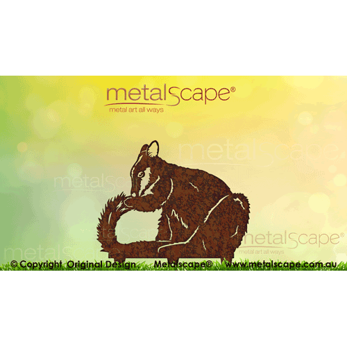 Countryscape - Metalscape - Metal Art - Farm-Brush-tailed Rock Wallaby - Juvenile Grooming