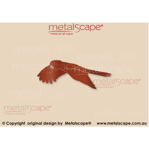 Metalscape - Metal Garden Art - Gardenscape -Black Cockatoo Flying Wings Down