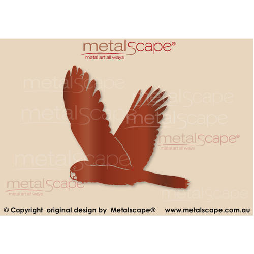 Metalscape - Metal Garden Art - Gardenscape -Black Cockatoo Flying Wings Up