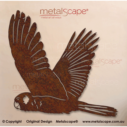 Metalscape - Metal Garden Art - Gardenscape -Yellow-tailed Black-Cockatoo Flying Wings Up
