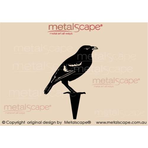 Metalscape - Metal Garden Art - Gardenscape -Satin Bowerbird Male