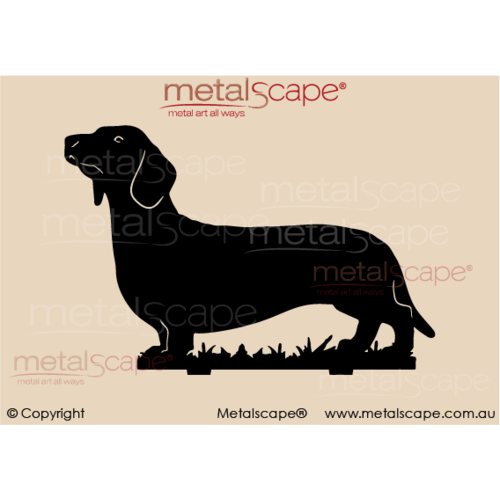 Metalscape - Metal Garden Art - Gardenscape -Dachshund on spike - Life size