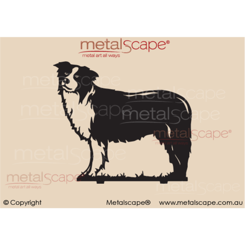Metalscape - Metal Garden Art - Gardenscape -Collie Standing Life Size