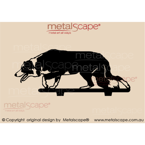 Metalscape - Metal Garden Art - Gardenscape -Working Border Collie Stalking - Medium