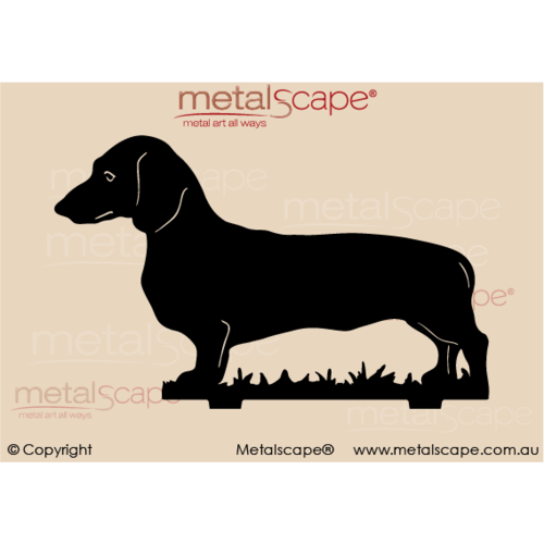 Metalscape - Metal Garden Art - Gardenscape -Dachshund 2  on spike - Life Size