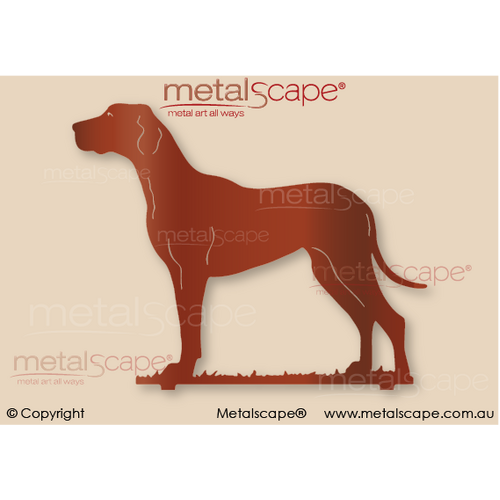 Metalscape - Metal Garden Art - Gardenscape -Great Dane Head Up on spike - Life Size