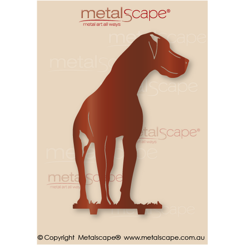 Metalscape - Metal Garden Art - Gardenscape -Great Dane Head up- Life Size 