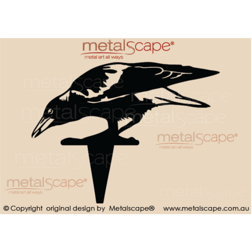 Metalscape - Metal Garden Art - Gardenscape -Magpie 6 - Eating \ Drinking 