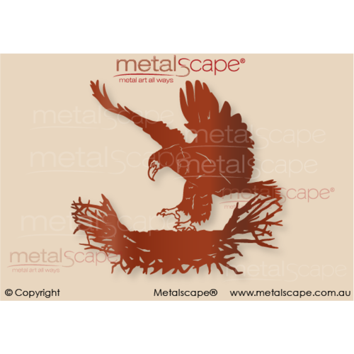 Metalscape - Metal Garden Art - Gardenscape -Wedge tail Eagle landing in nest