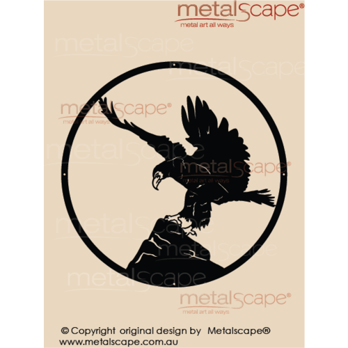 Countryscape - Metalscape - Metal Art - Farm-Wedge Tail Eagle landing on rock