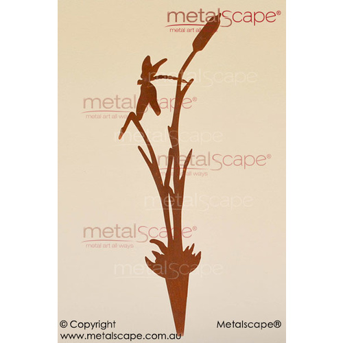 Metalscape - Metal Garden Art - Gardenscape -Dragonfly and 1 Bulrush Reed- 1.6mm Corten - Rust